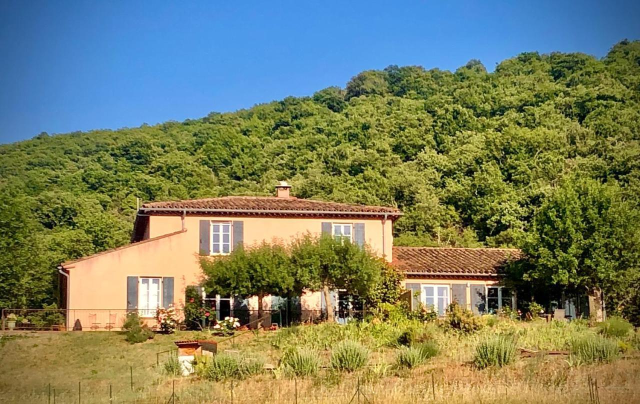 La Tour-sur-OrbDomaine De Montbarri住宿加早餐旅馆 外观 照片